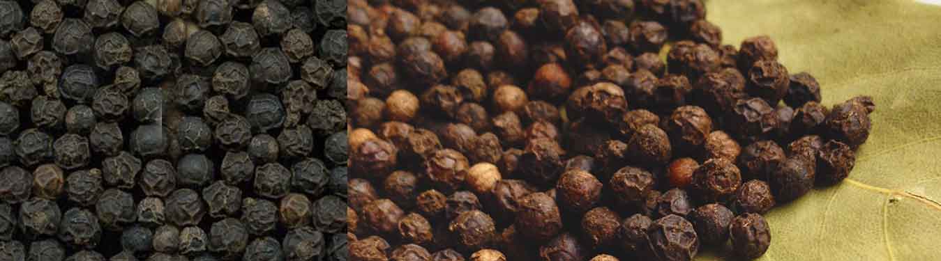 Black Pepper Import and trading