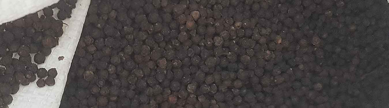 Black Pepper Import and trading